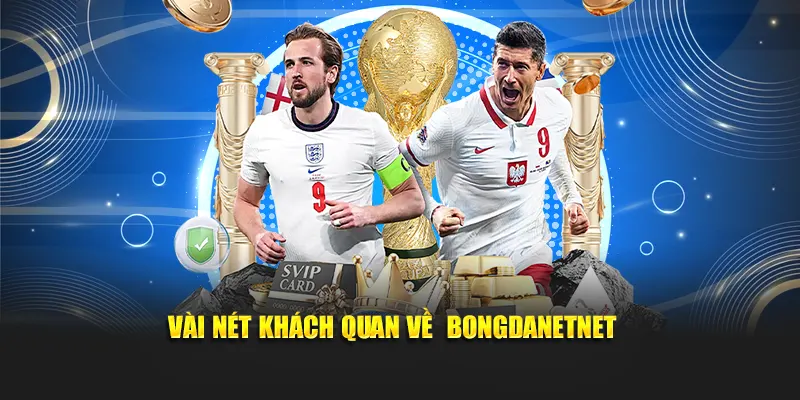 Vài nét khách quan về  Bongdanetnet 
